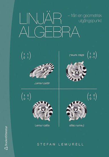 bokomslag Linjär algebra : från en geometrisk utgångspunkt