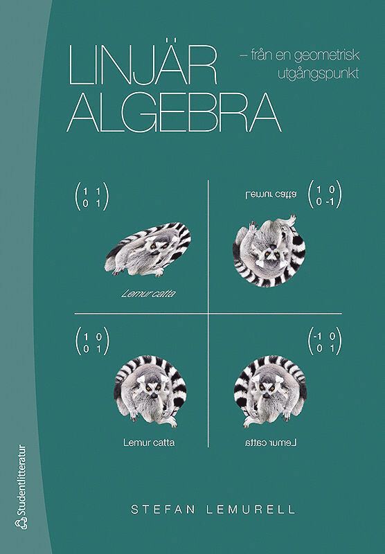 Linjär algebra : från en geometrisk utgångspunkt 1