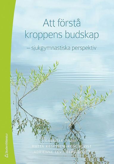 bokomslag Att förstå kroppens budskap : -sjukgymnastiska perspektiv