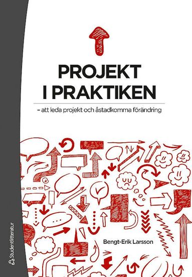 bokomslag Projekt i praktiken : att leda projekt och åstadkomma förändring