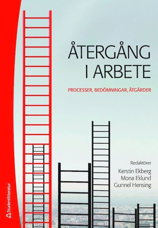 Återgång i arbete - Processer, bedömningar, åtgärder 1