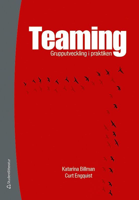 Katarina Billman, Curt Engquist - Teaming : grupputveckling i praktiken, Kartonnage