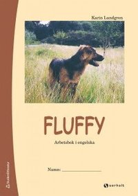 bokomslag Fluffy : arbetsbok i engelska