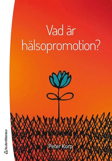 bokomslag Vad är hälsopromotion?