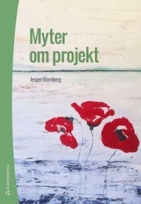 bokomslag Myter om projekt