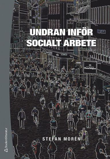 bokomslag Undran inför socialt arbete