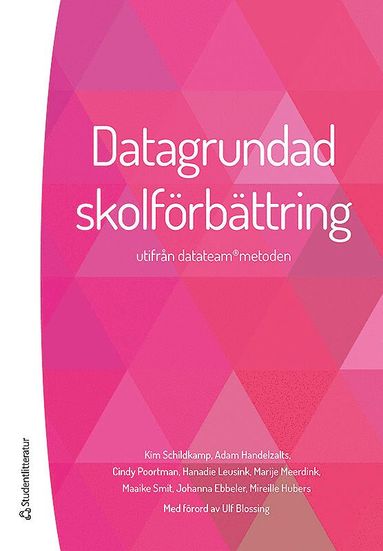 bokomslag Datagrundad skolförbättring - - analys utifrån datateam-metoden