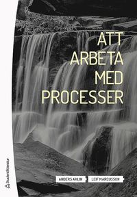 bokomslag Att arbeta med processer