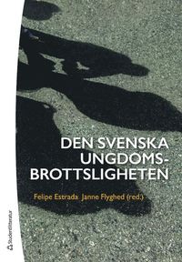 bokomslag Den svenska ungdomsbrottsligheten