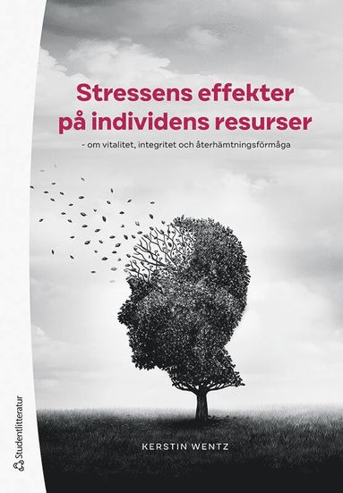 bokomslag Stressens effekter på individens resurser : om vitalitet, integritet och återhämtningsförmåga