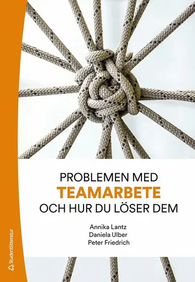 Annika Lantz, Daniela Ulber, Peter Friedrich - Problemen med teamarbete och hur du löser dem, Häftad