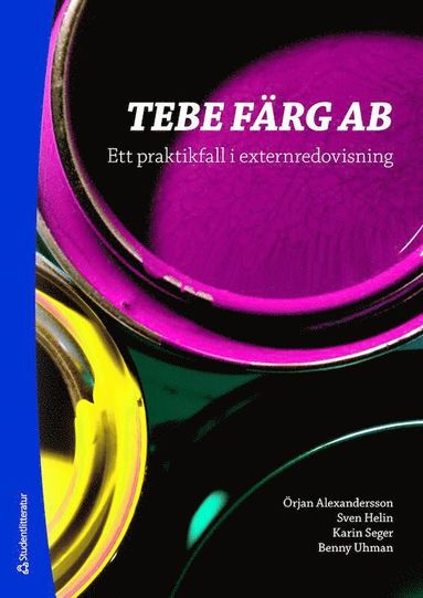 bokomslag Tebe färg AB : ett praktikfall i externredovisning