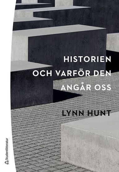 Lynn Hunt - Historien - och varför den angår oss, Häftad