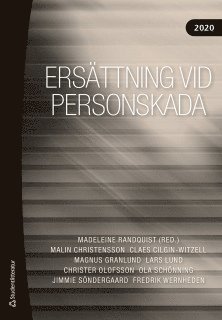 Malin Christensson, Magnus Granlund, Lars Lund, Christer Olofsson, Ola Schönning, Jimmie Söndergaard, Fredrik Wernheden, Claes Cilgin-Witzell - Ersättning vid personskada 2020, Häftad