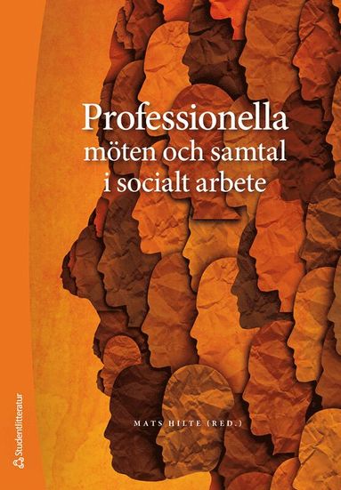 bokomslag Professionella möten och samtal i socialt arbete