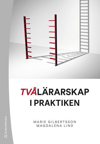 bokomslag Tvålärarskap i praktiken