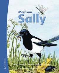 bokomslag Mera om Sally