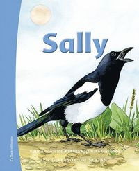 bokomslag Sally