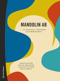 bokomslag Mandolin AB : ett praktikfall i redovisning och ekonomisk analys