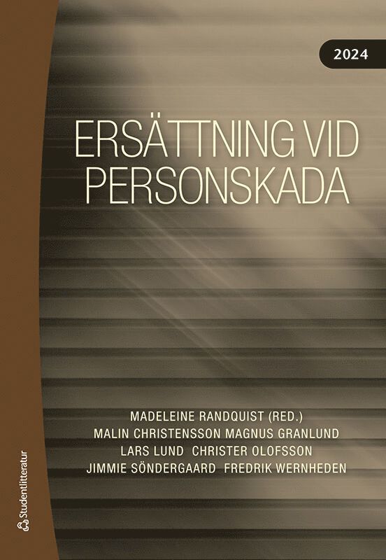 Ersättning vid personskada 2024
