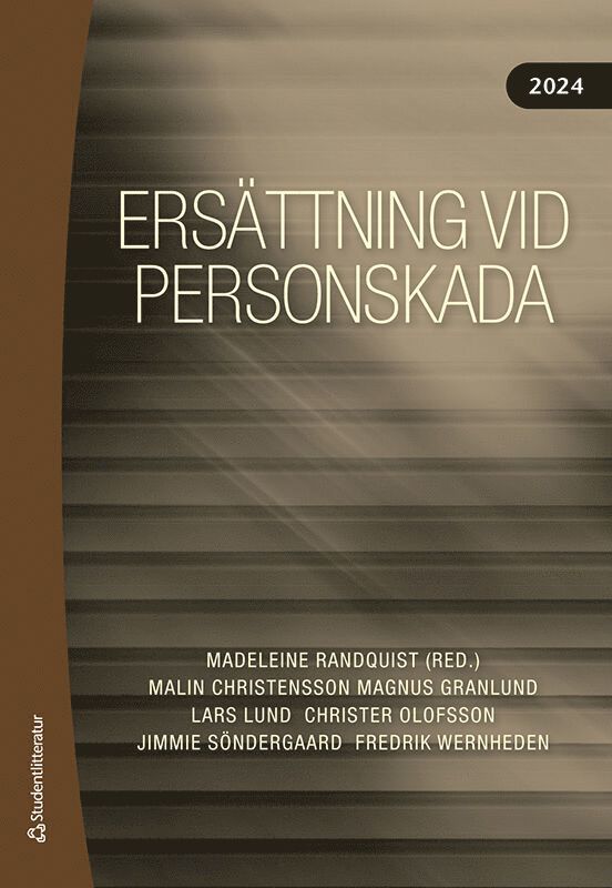 Ersättning vid personskada 2024 1