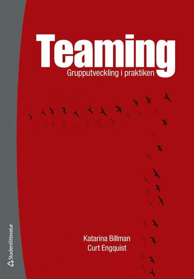 bokomslag Teaming : grupputveckling i praktiken