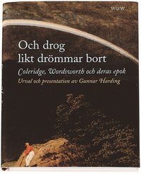 bokomslag Och drog likt drömmar bort