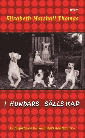 Elizabeth Marshall Thomas - I hundars sällskap, Pocket