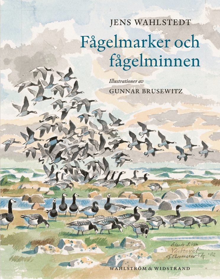 Fågelmarker och fågelminnen