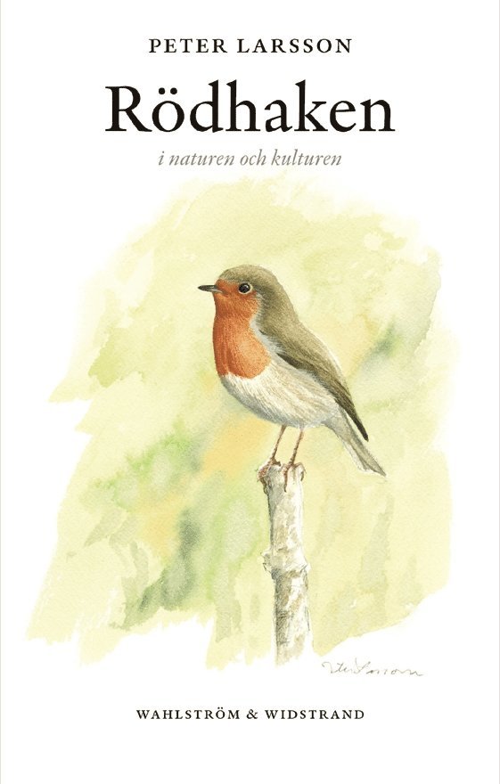 Rödhaken i naturen och kulturen