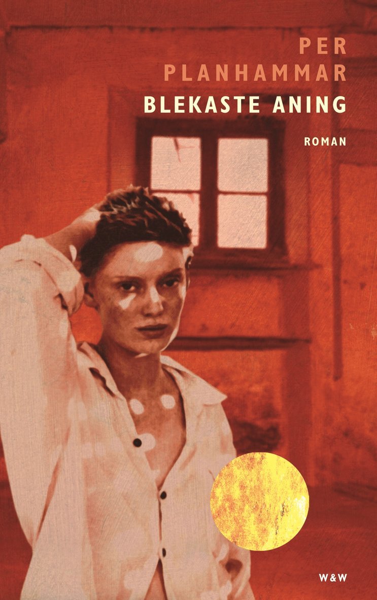 Per Planhammar - Blekaste aning, Inbunden