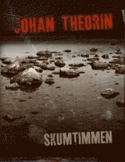 Johan Theorin - Skumtimmen, Kartonnage