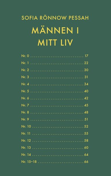bokomslag Männen i mitt liv