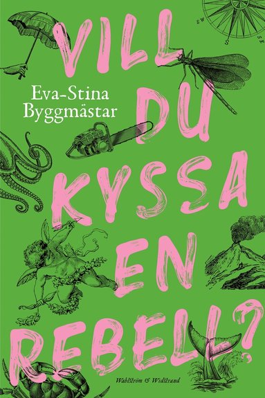 Eva-Stina Byggmästar - Vill du kyssa en rebell?, Inbunden