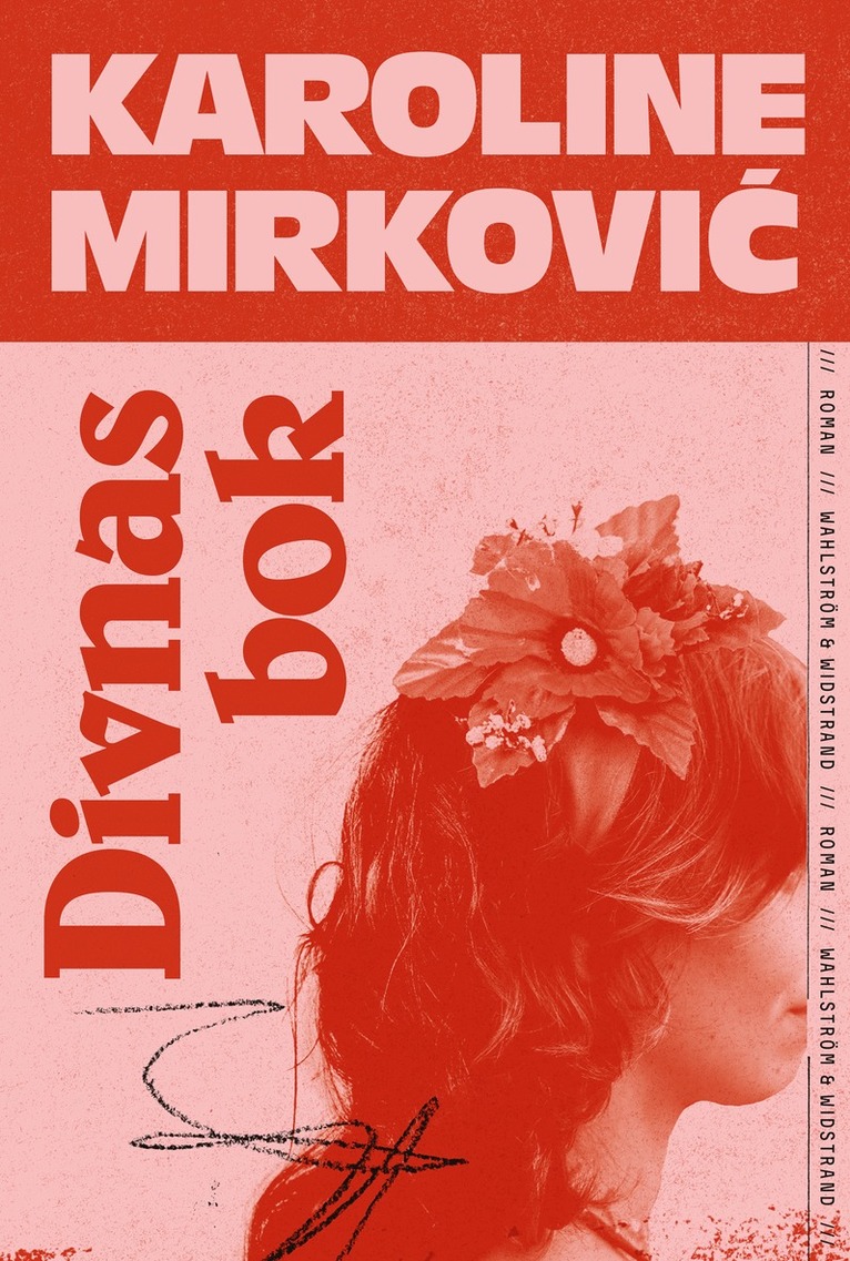 Divnas bok 1