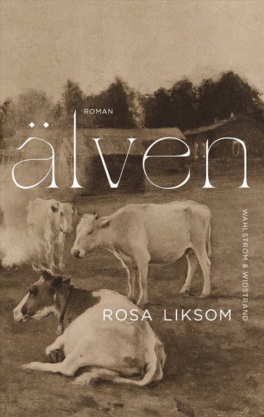 Rosa Liksom - Älven, Pocket