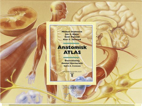 Anatomisk Atlas 1