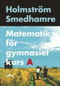Martin Holmström, Eva Smedhamre - Matematik för gymnasiet kurs A, Häftad