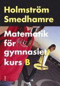 Martin Holmström, Eva Smedhamre - Matematik för gymnasiet kurs B, Häftad