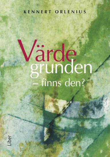 bokomslag Värdegrunden - finns den?