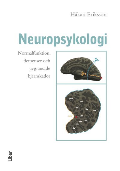 Håkan Eriksson - Neuropsykologi, Inbunden