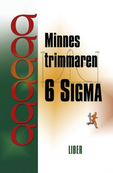 bokomslag Minnestrimmaren 6 Sigma