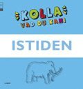 Kolla vad du kan Istiden