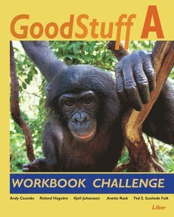 Andy Coombs, Roland Hagvärn, Kjell Johansson, Anette Rask, Ted S. Sunhede Fulk - Good Stuff A Workbook Challenge, Häftad