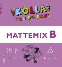 bokomslag Kolla vad du kan Mattemix B