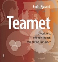 bokomslag Teamet