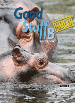 Good Stuff Gold B textbook 1