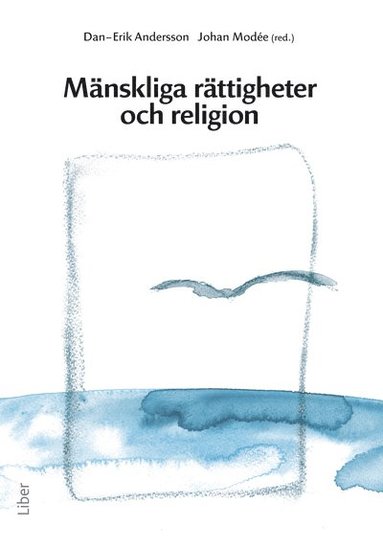 bokomslag Mänskliga rättigheter och religion