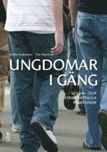 bokomslag Ungdomar i gäng : social- och straffrättsliga reaktioner