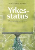 bokomslag Yrkesstatus : erfarenhet, identitet och erkännande